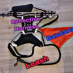 Dog Supplies