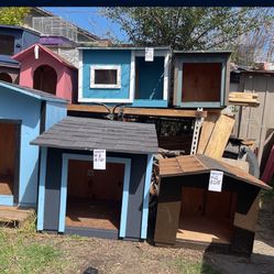 Pet Supplies 