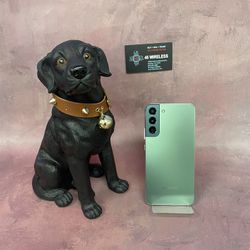 Samsung Galaxy S22 Plus