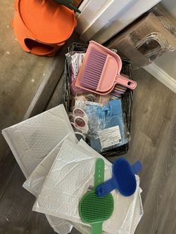 Bunny Supplies Holland lop Bunnies 