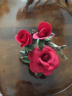 Valentine Roses