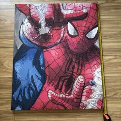 Spider Man Canvas And Decor