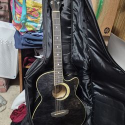 Luna Guitar Acoustic Electric