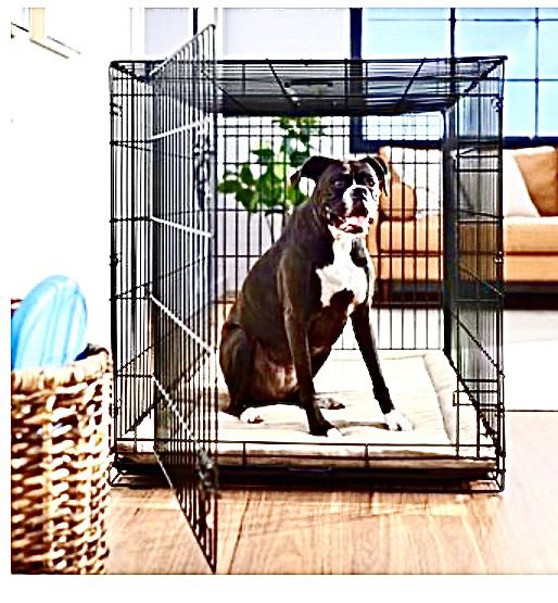 48 Inch Large Dog Crate