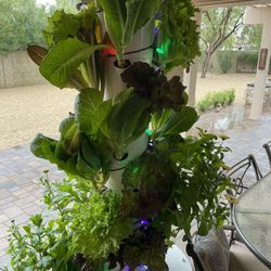 Tower Garden