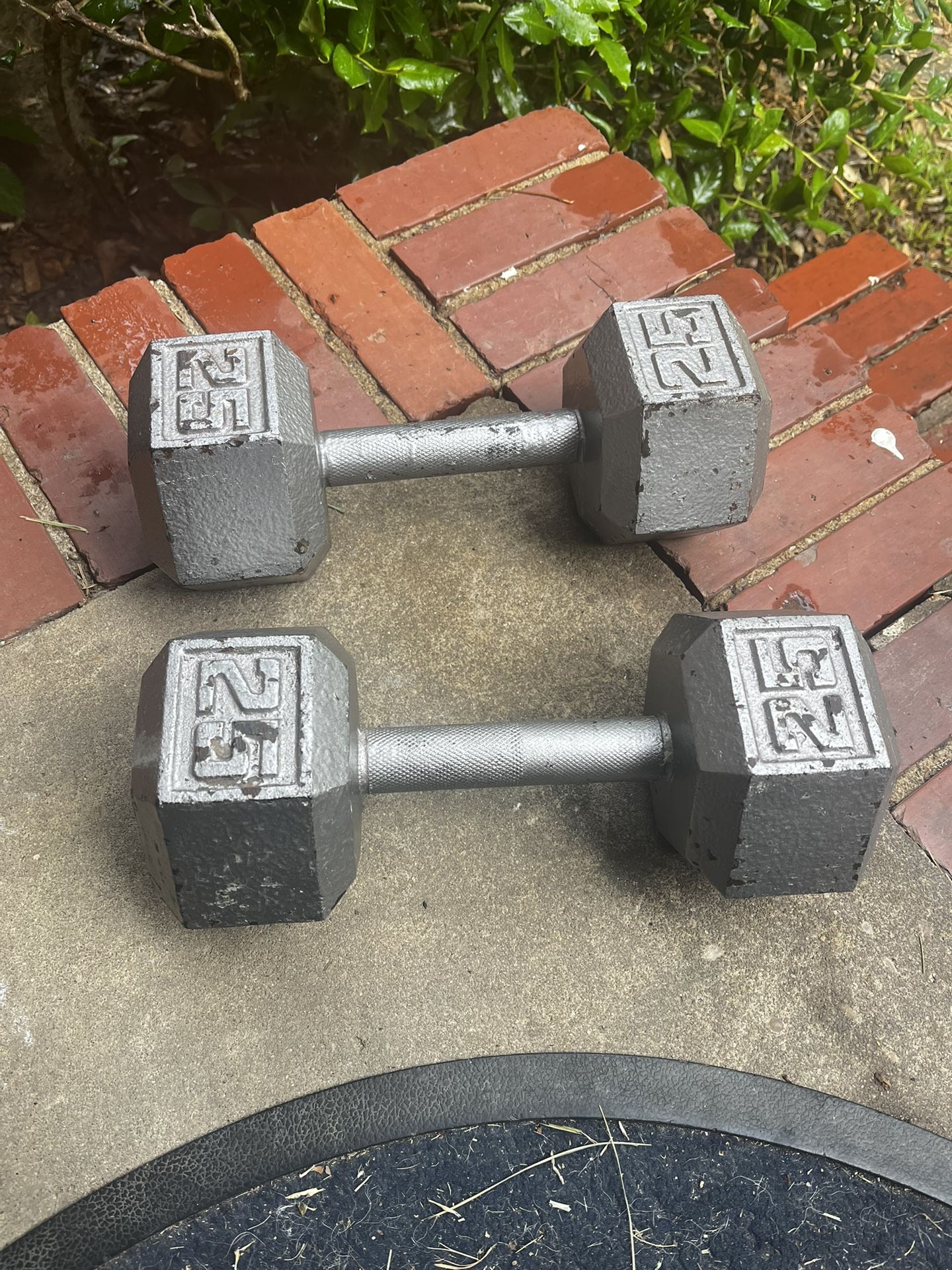 Set Of 25lbs Dumbbells