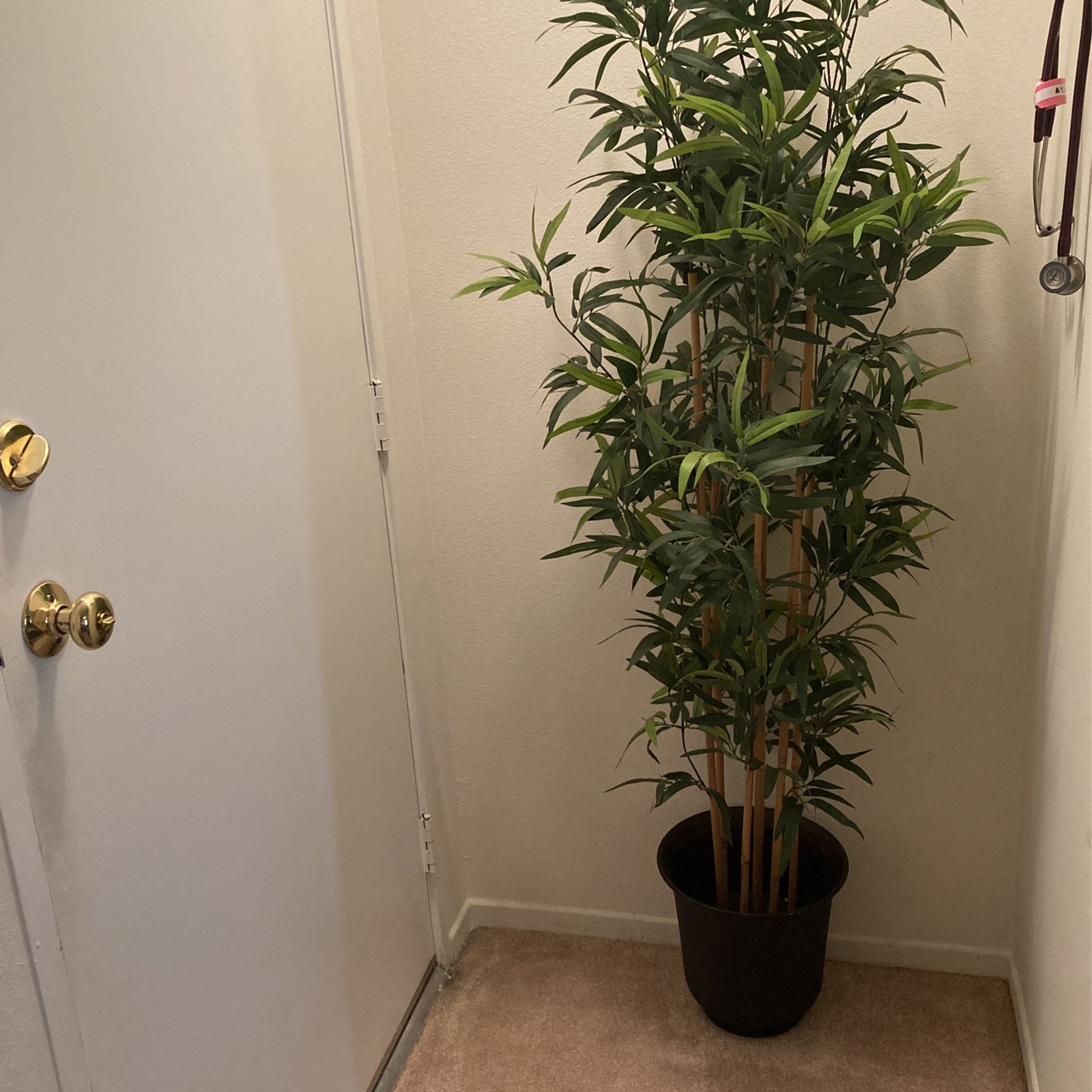 Faux bamboo Plant With Pot Included 