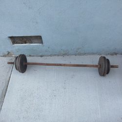 Free Weights 
