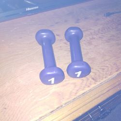 1 Pound Weights