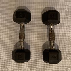 8 Lb Dumbells