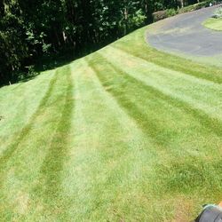 Carlos Landscaping 
