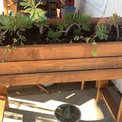 Raised Planter Box With Plants 