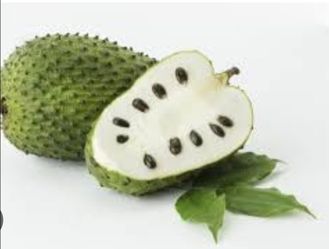 $9 soursop plant