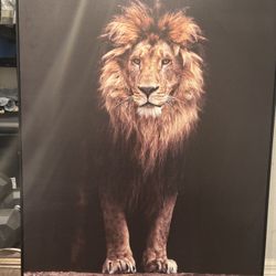 Lion Portrait 