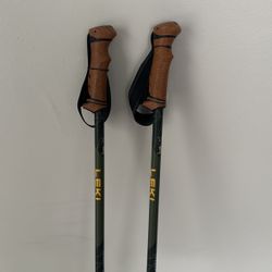 LEKI HTS 6.0 Green / Mango Trekking Poles (NEW)