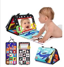Tummy Time Toy Activity Book with Mirror 