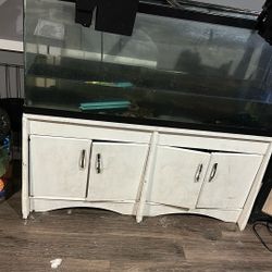 55 Gallon Fish Tank