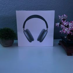 Apple Airpod Maxes 