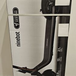Ninebot Electric Scooter