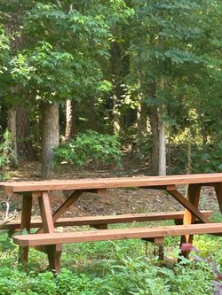 Bench