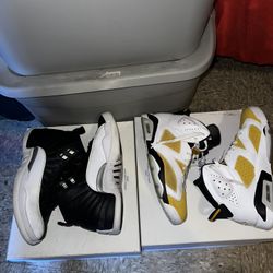Jordan 12 Taxi / Jordan 6 Ochre Size 10.5