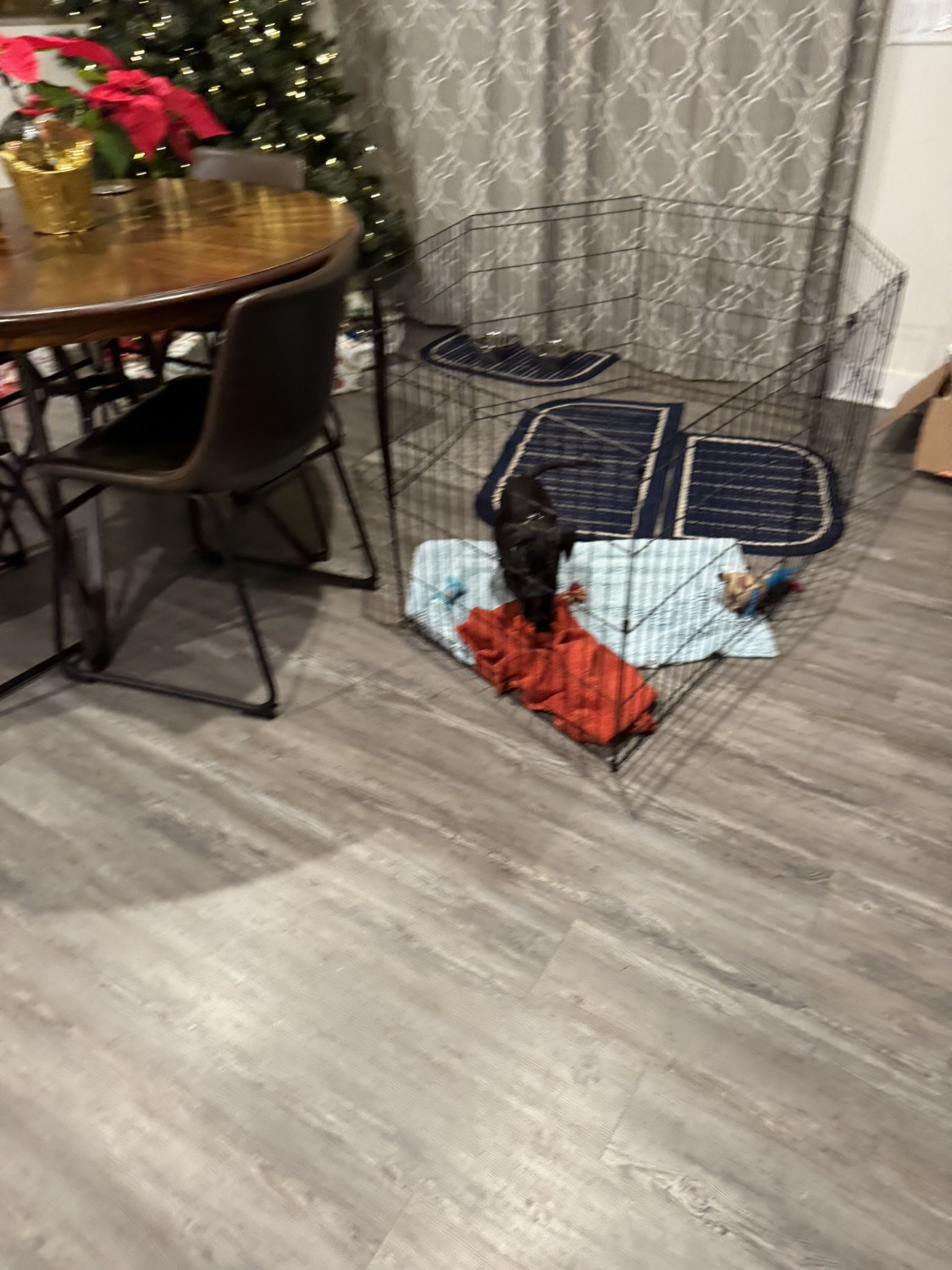 Medium Dig Crate