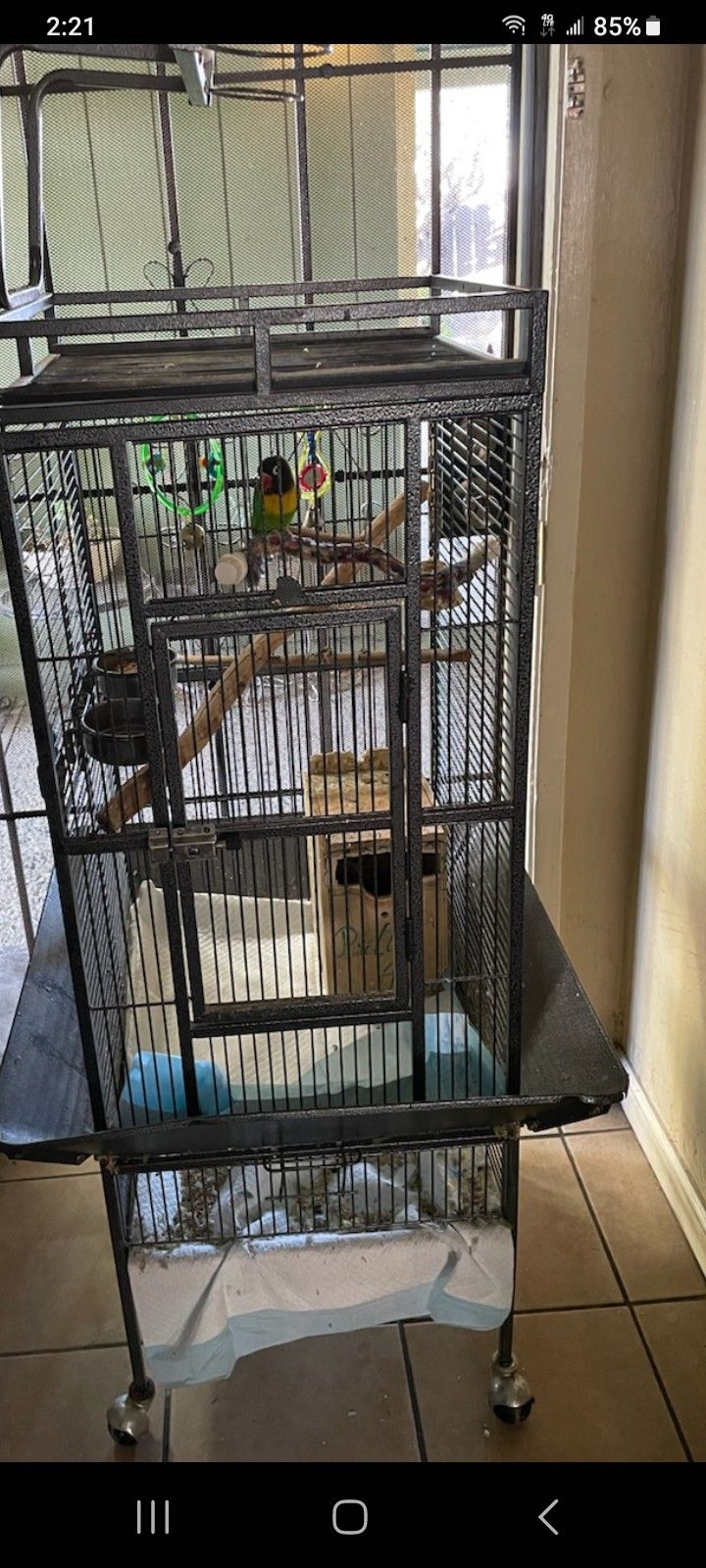 Bird Cage/ Jaula