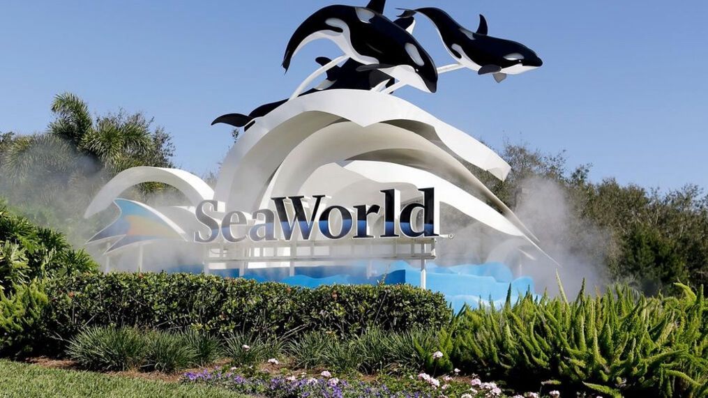 SeaWorld Tickets