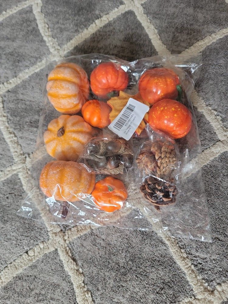 Fall Harvest Halloween Thanksgiving Decorations Crafts