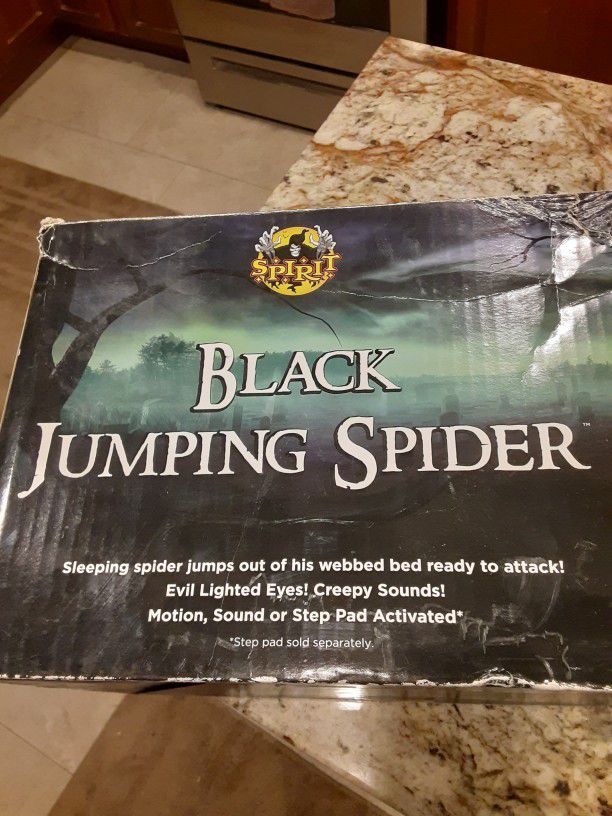 Halloween Jumping Spider