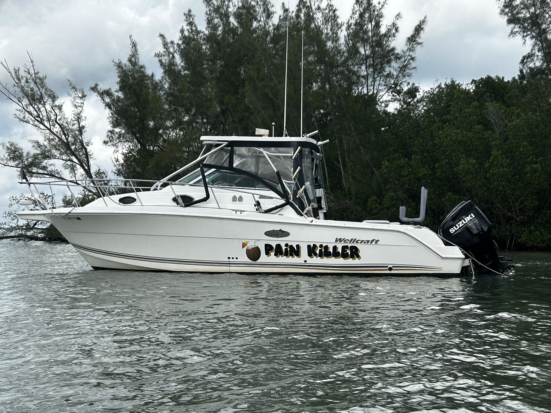 2002 Wellcraft 290 Coastal