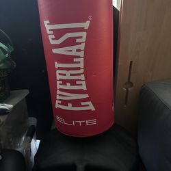 Everlast Punching Bag Boxing