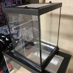 Tarantula Enclosure