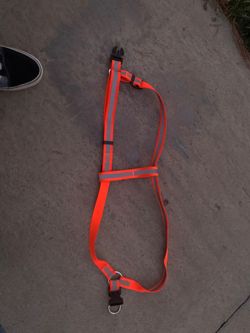 Dog harness size large