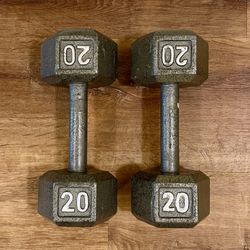 20 Pound Dumbbell Set