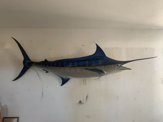 Marlin Mount 10 Ft Long