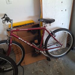 Rincon Giant Men's Bike