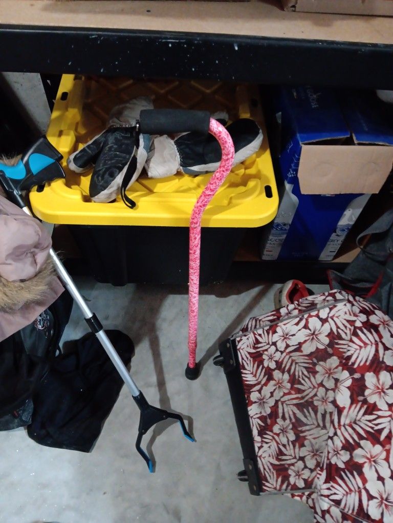 Cane And Grabber