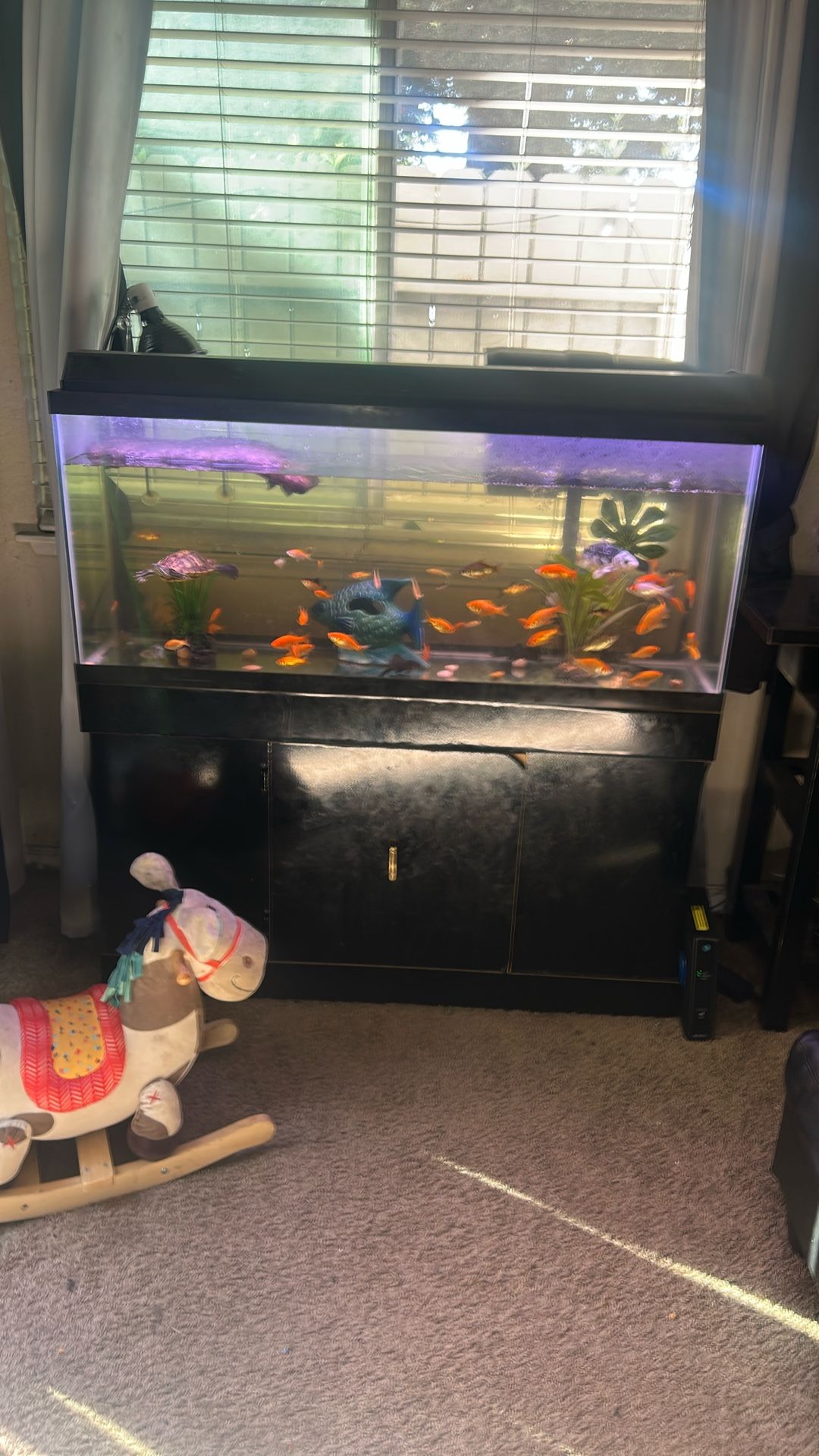 55 Gallon Aquarium With Stand 