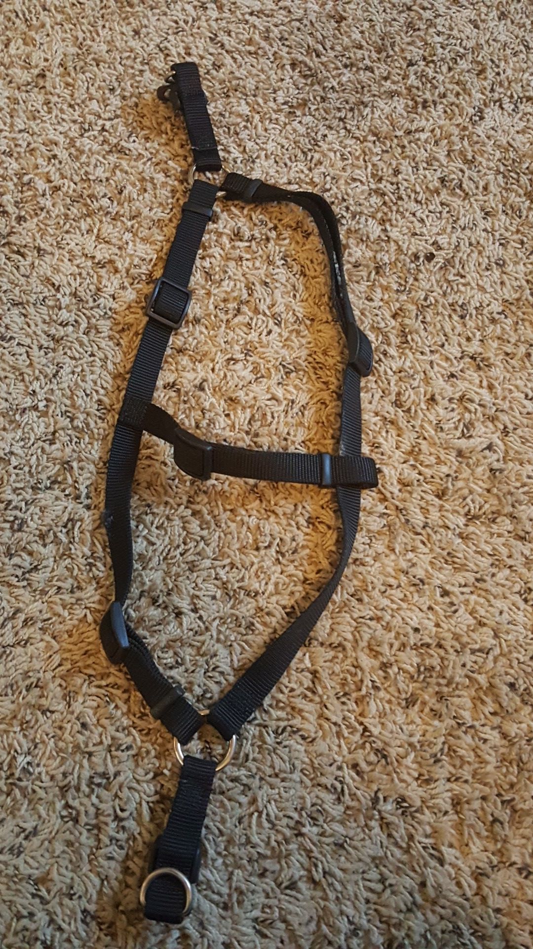 Large dog harness