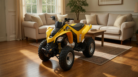 CanAm Ds 250 in like new condition