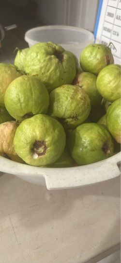 Fruits guava-wax apple-Longan
