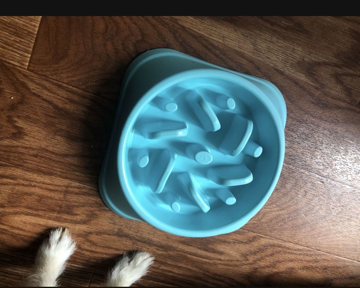 Puzzle Dog Bowl