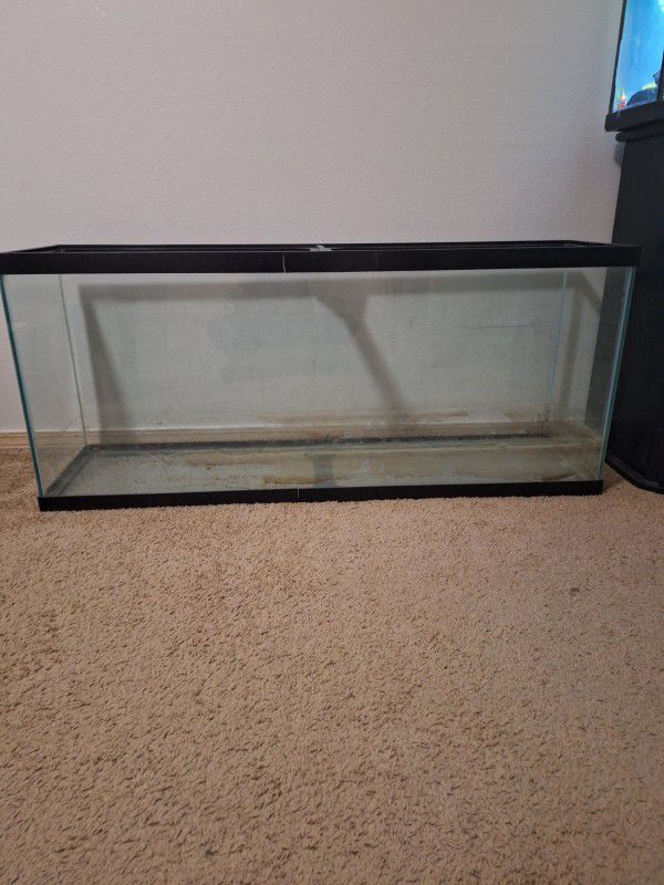 55 Gallon Fish Tank/Aquarium