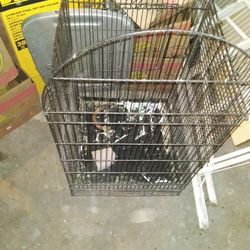 BIG BIRD CAGE