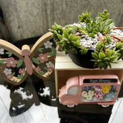 Succulent Arrangement 