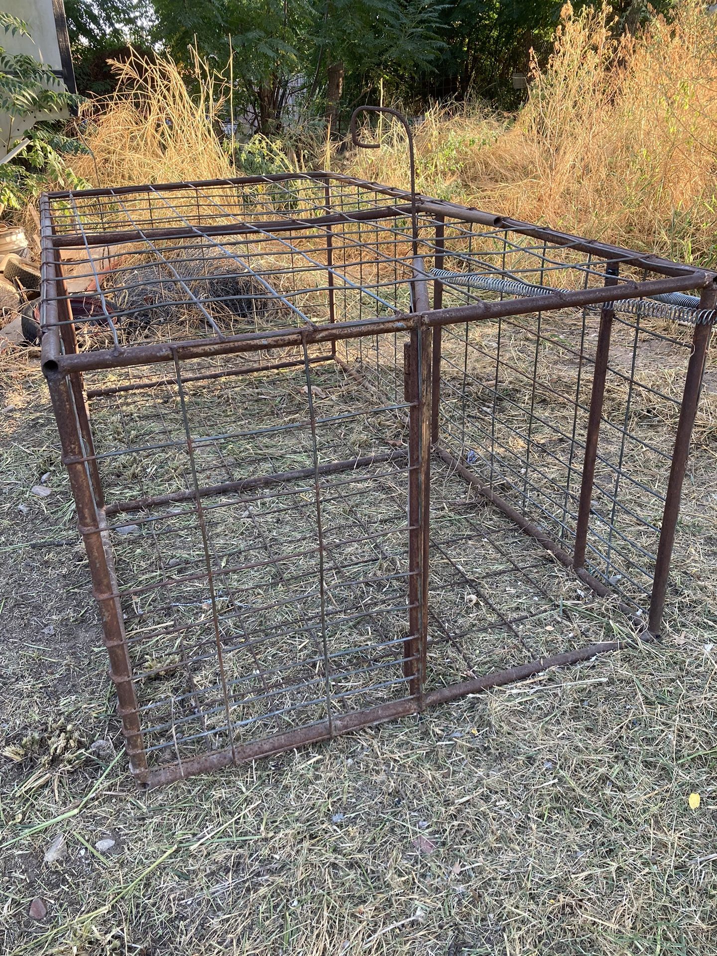 Hog trap for Sale in Von Ormy, TX OfferUp
