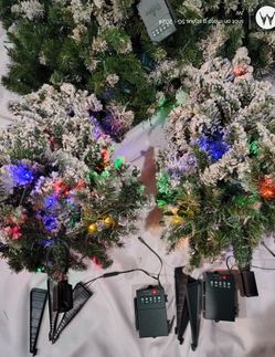 2, Bethlehem Lights Christmas trees