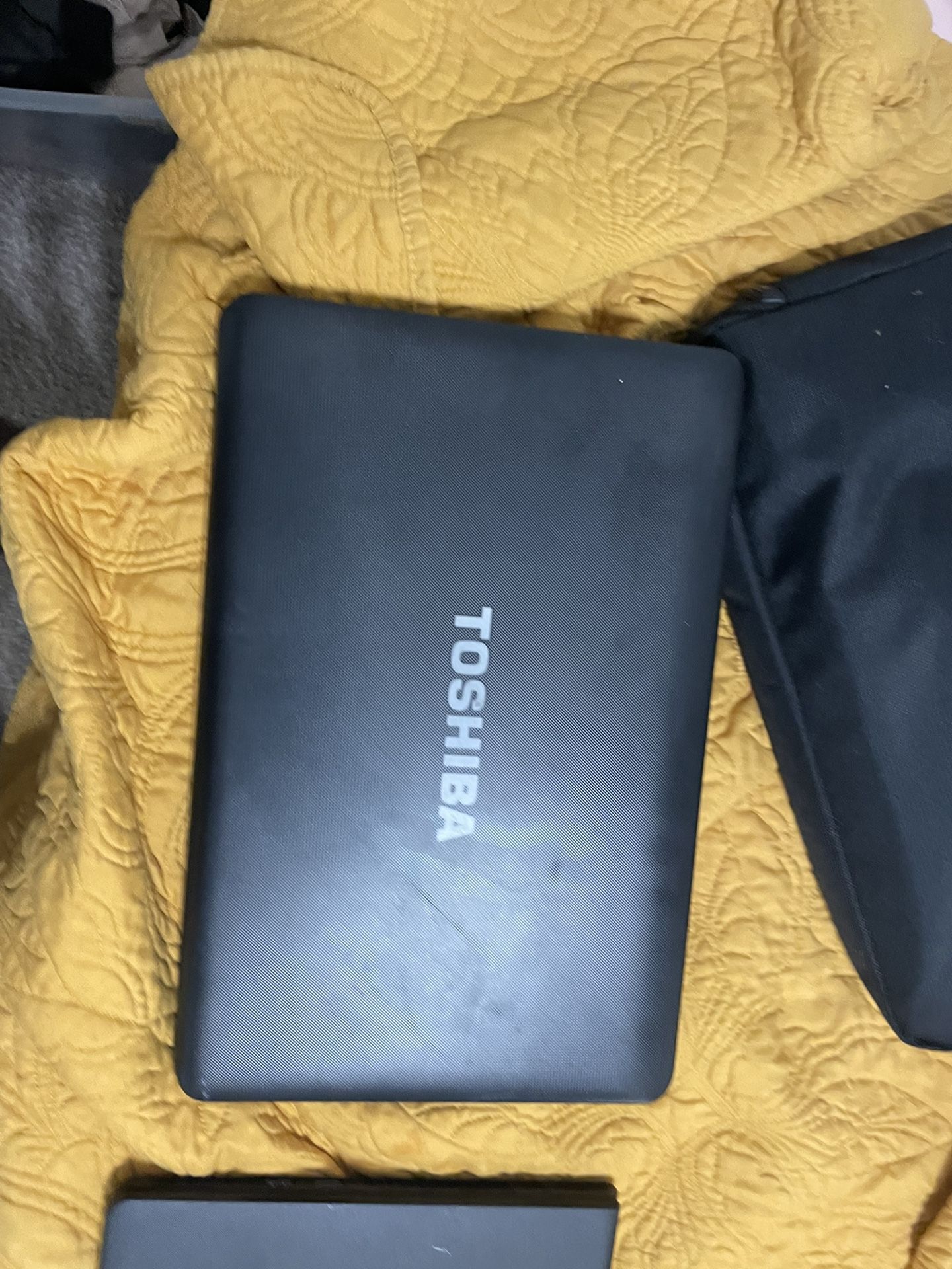 Toshiba Laptop  Great  Deal 