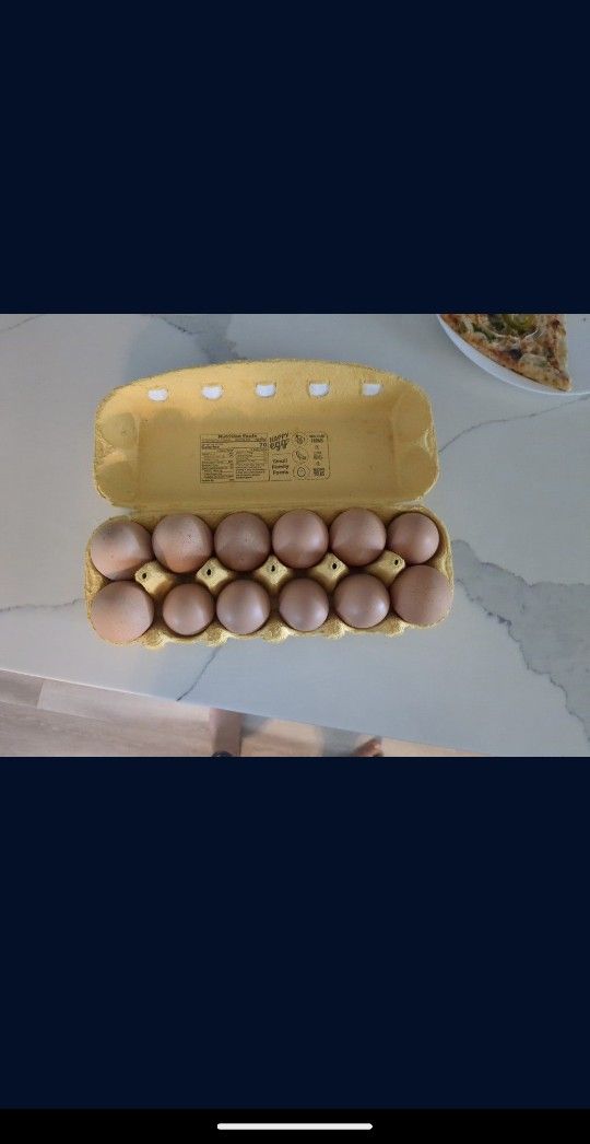 Daily Fresh Eggs